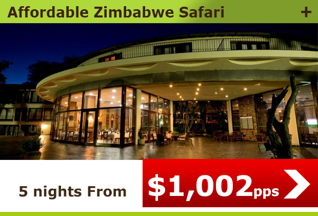 Affordable Zimbabwe Safari 